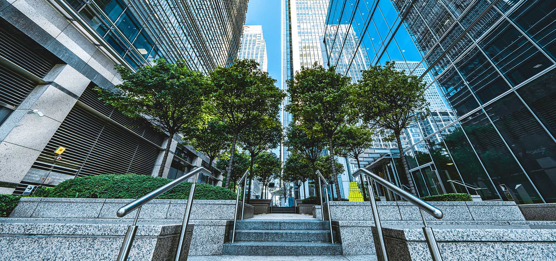 Scout Property Group Commercial Real Estate is ALL we do!